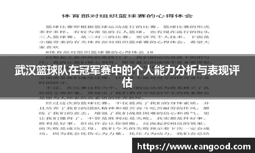 V体育