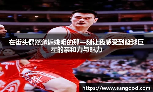 VSport - 胜利因您更精彩
