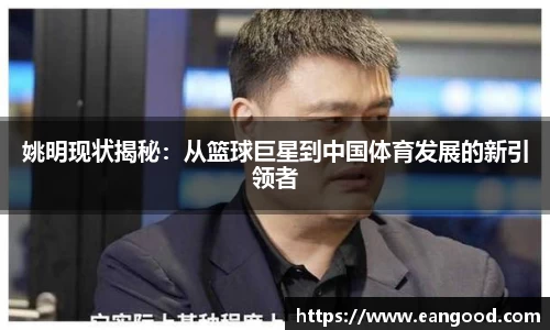 姚明现状揭秘：从篮球巨星到中国体育发展的新引领者