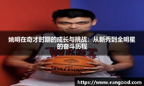 姚明在奇才时期的成长与挑战：从新秀到全明星的奋斗历程