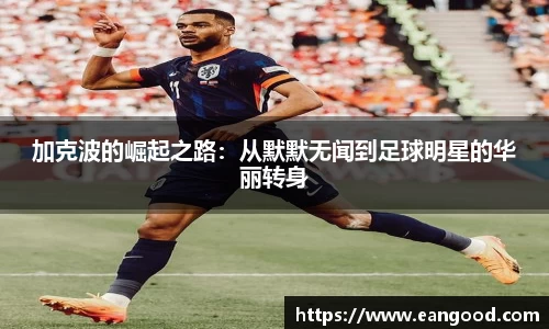 VSport - 胜利因您更精彩
