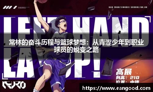 VSport - 胜利因您更精彩